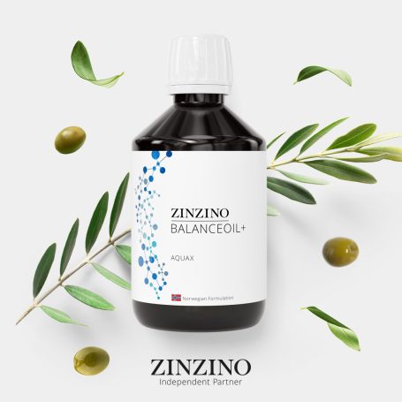 Omega-3 Öl Kombination Omega-3 Öl mit Olivenextrakt zur Ergänzung der täglichen Ernährung
